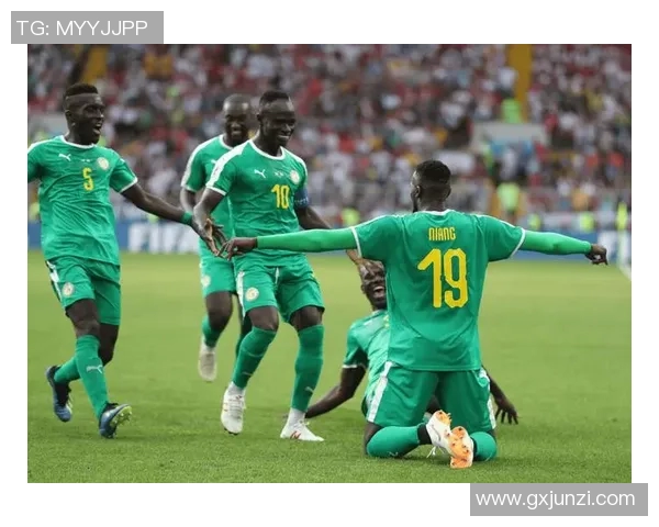 塞内加尔与喀麦隆激战在即谁将赢得非洲足球的荣耀之战